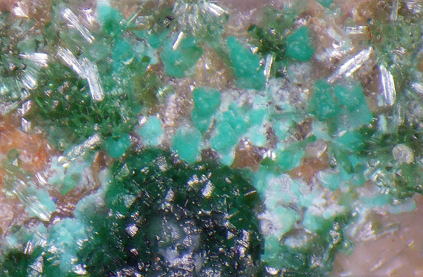 Azurite Zincolivenite & Olivenite