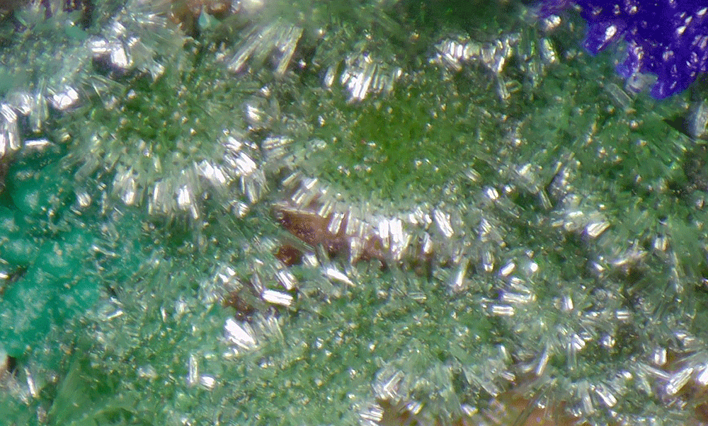 Azurite Zincolivenite & Olivenite