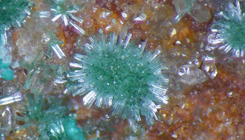 Azurite Zincolivenite & Olivenite