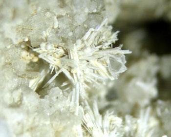Cuspidine