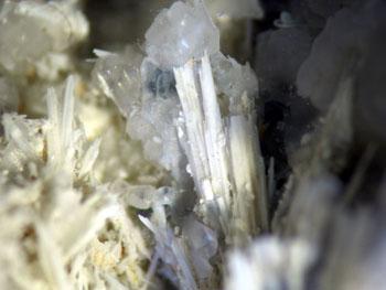 Cuspidine