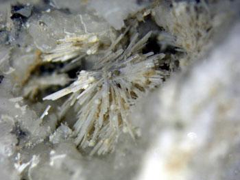Cuspidine