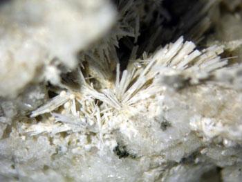 Cuspidine