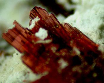 Erythrite