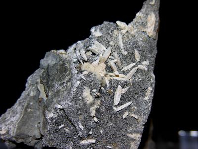 Cuspidine
