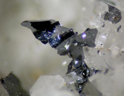 Tungstenite
