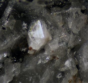 Farneseite