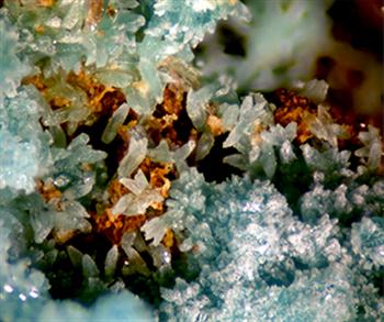 Rruffite & Mansfieldite