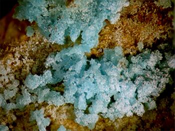 Rruffite & Mansfieldite