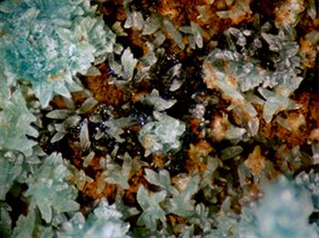Rruffite & Mansfieldite