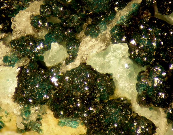 Herbertsmithite & Gordaite