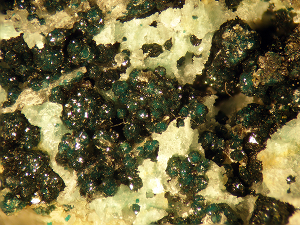 Herbertsmithite & Gordaite