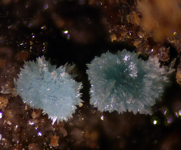 Rruffite Jarosite & Mansfieldite