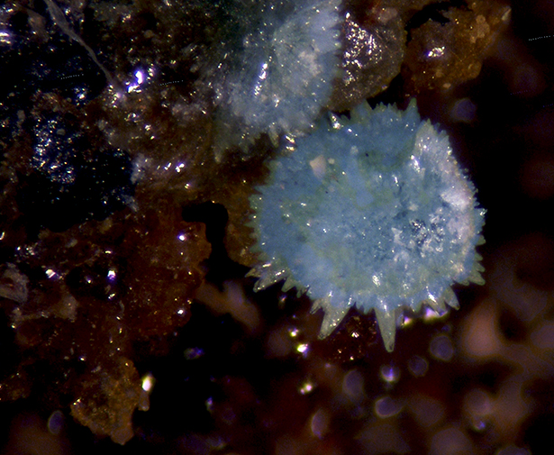 Rruffite Jarosite & Mansfieldite