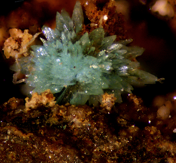 Rruffite Jarosite & Mansfieldite