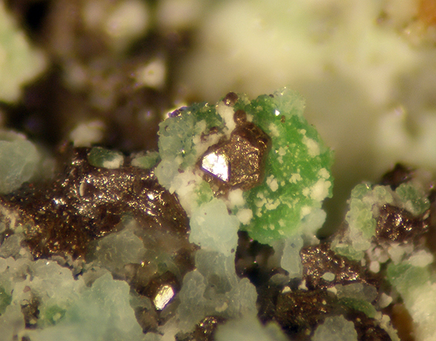 Chlorargyrite & Rruffite