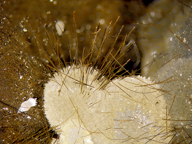 Vonsenite & Calcite