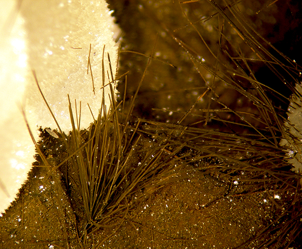 Vonsenite & Calcite