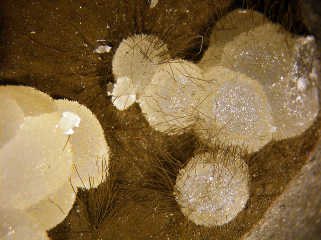 Vonsenite & Calcite