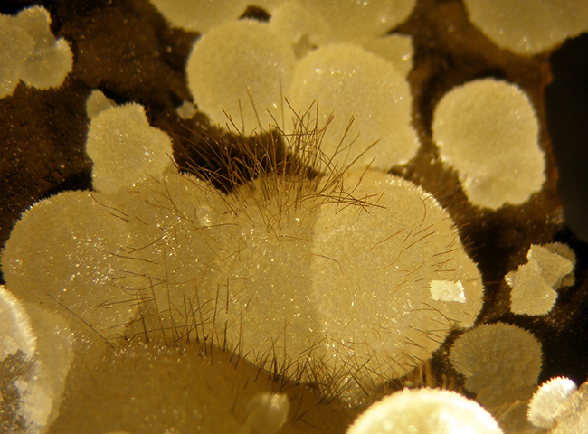 Vonsenite & Calcite