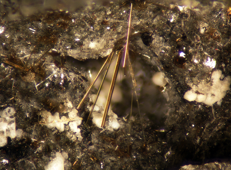 Magnesio-hastingsite