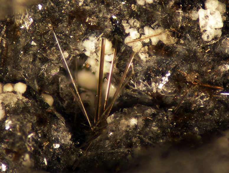 Magnesio-hastingsite