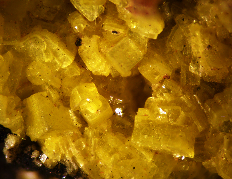 Autunite