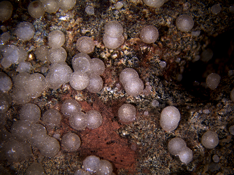 Phillipsite Gismondine & Vonsenite