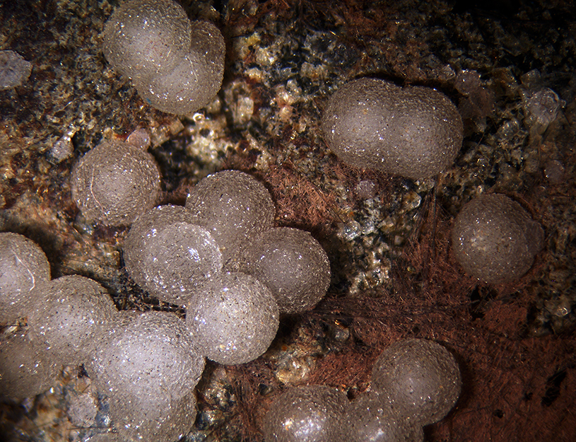Phillipsite Gismondine & Vonsenite