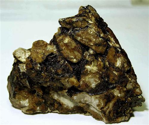 Native Asphaltum