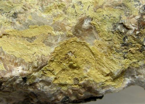 Uranospinite & Uraninite
