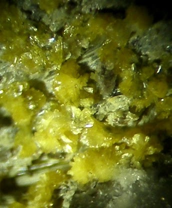 Klebelsbergite