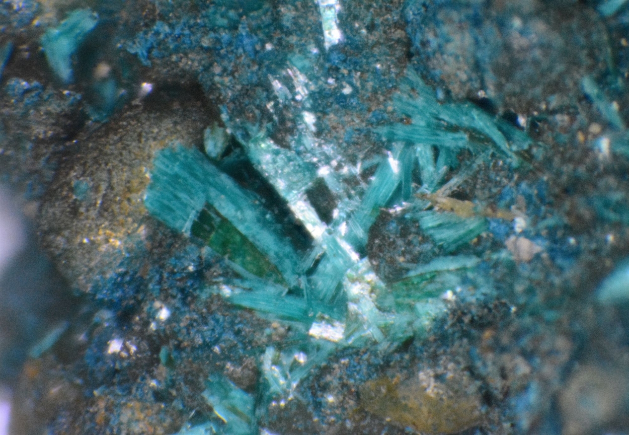 Botallackite