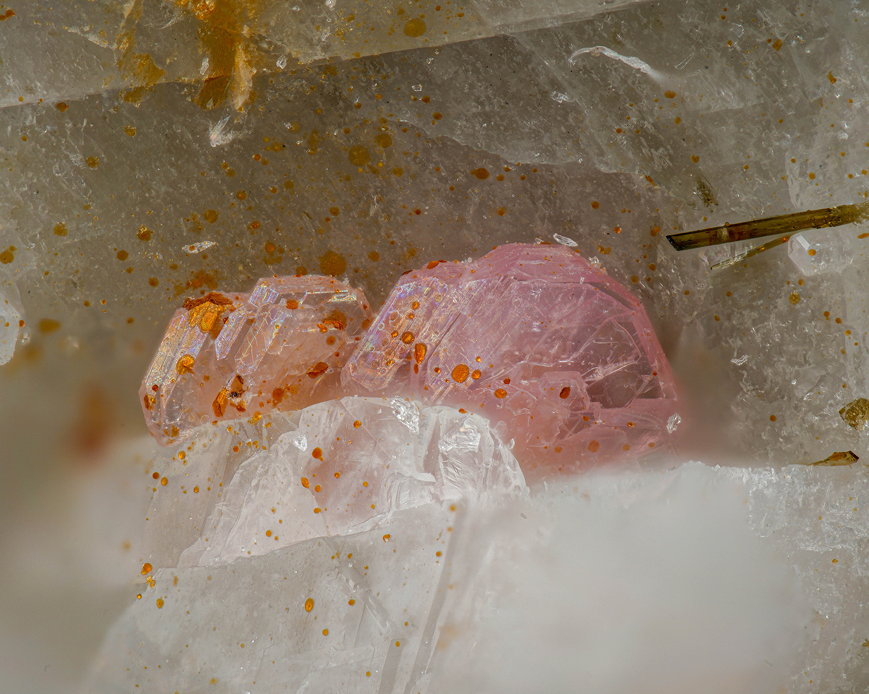 Eudialyte