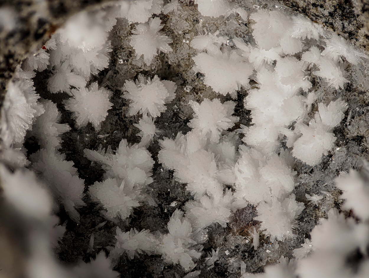 Gonnardite & Phillipsite-Ca