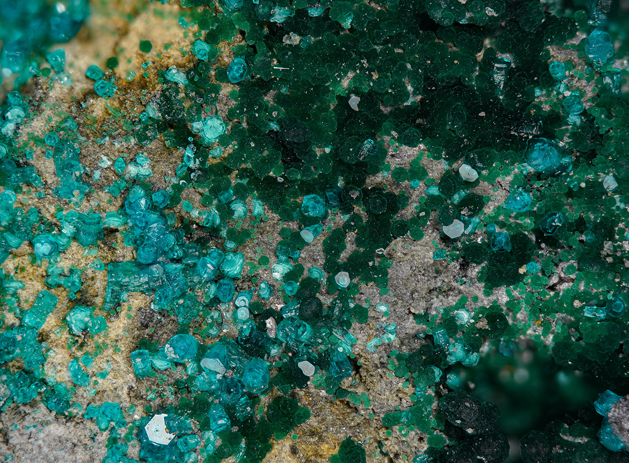 Spangolite & Clinoatacamite