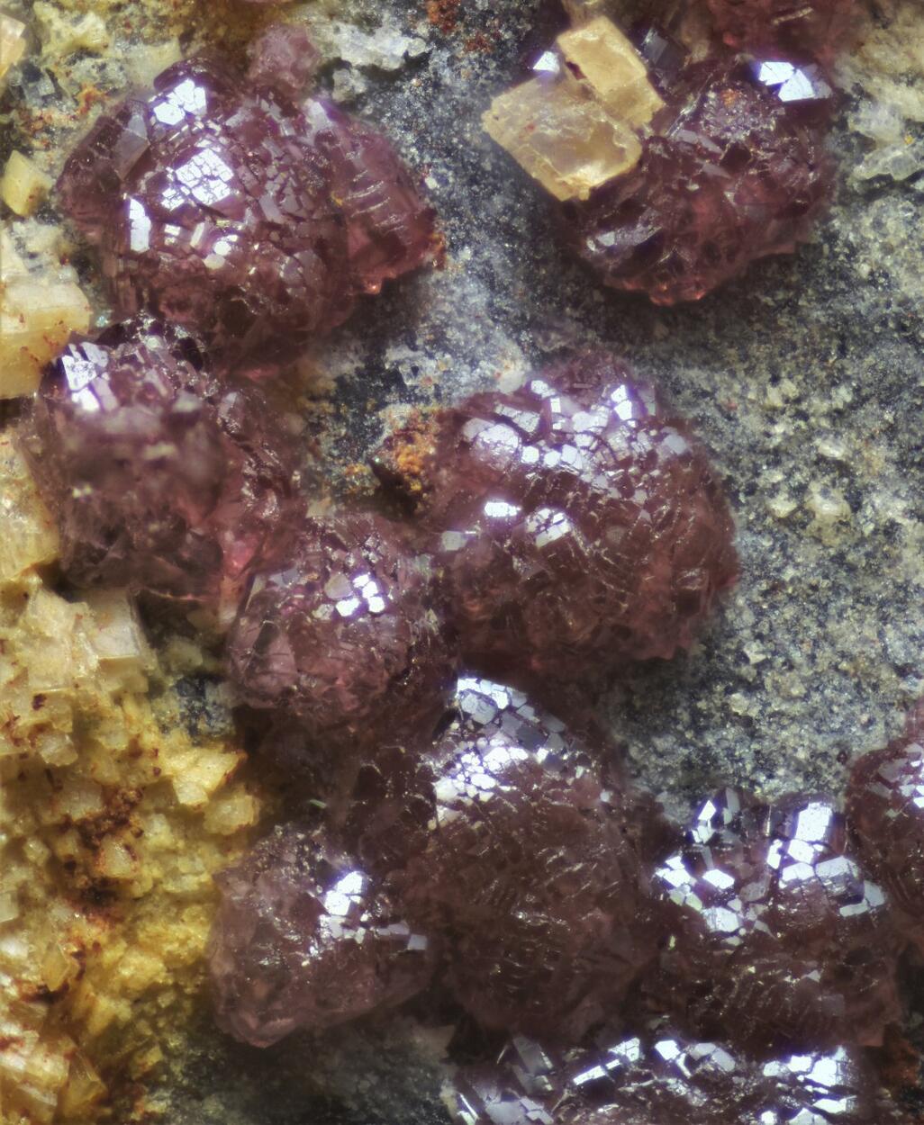 Cobaltoan Adamite