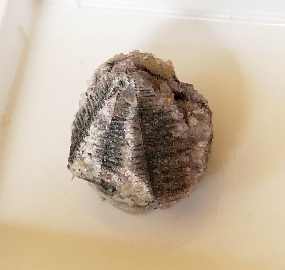 Acanthite Aguilarite