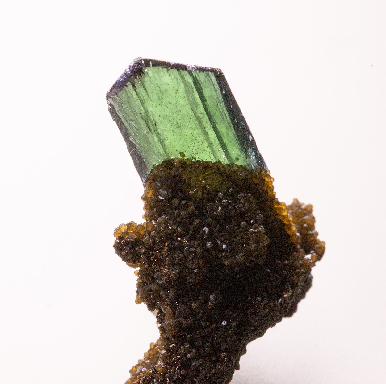 Vivianite & Siderite