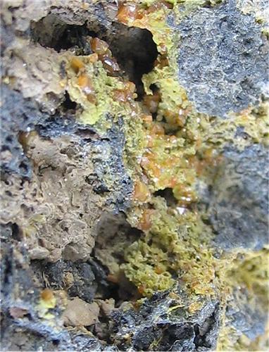 Stolzite