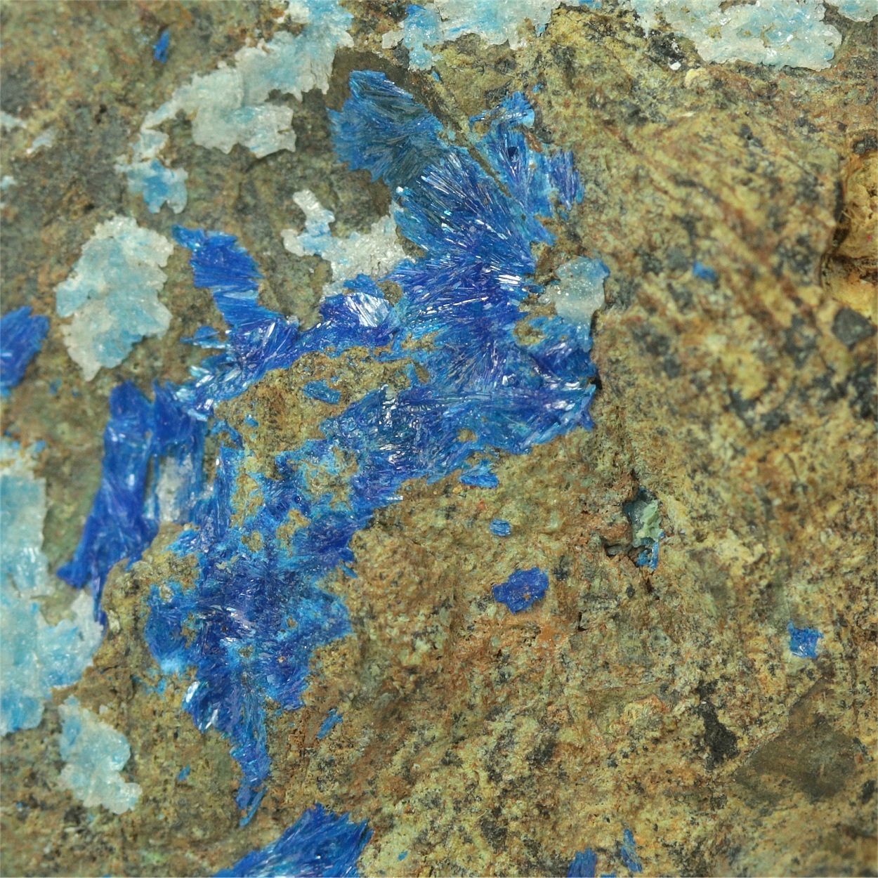 Linarite With Bornite & Chrysocolla