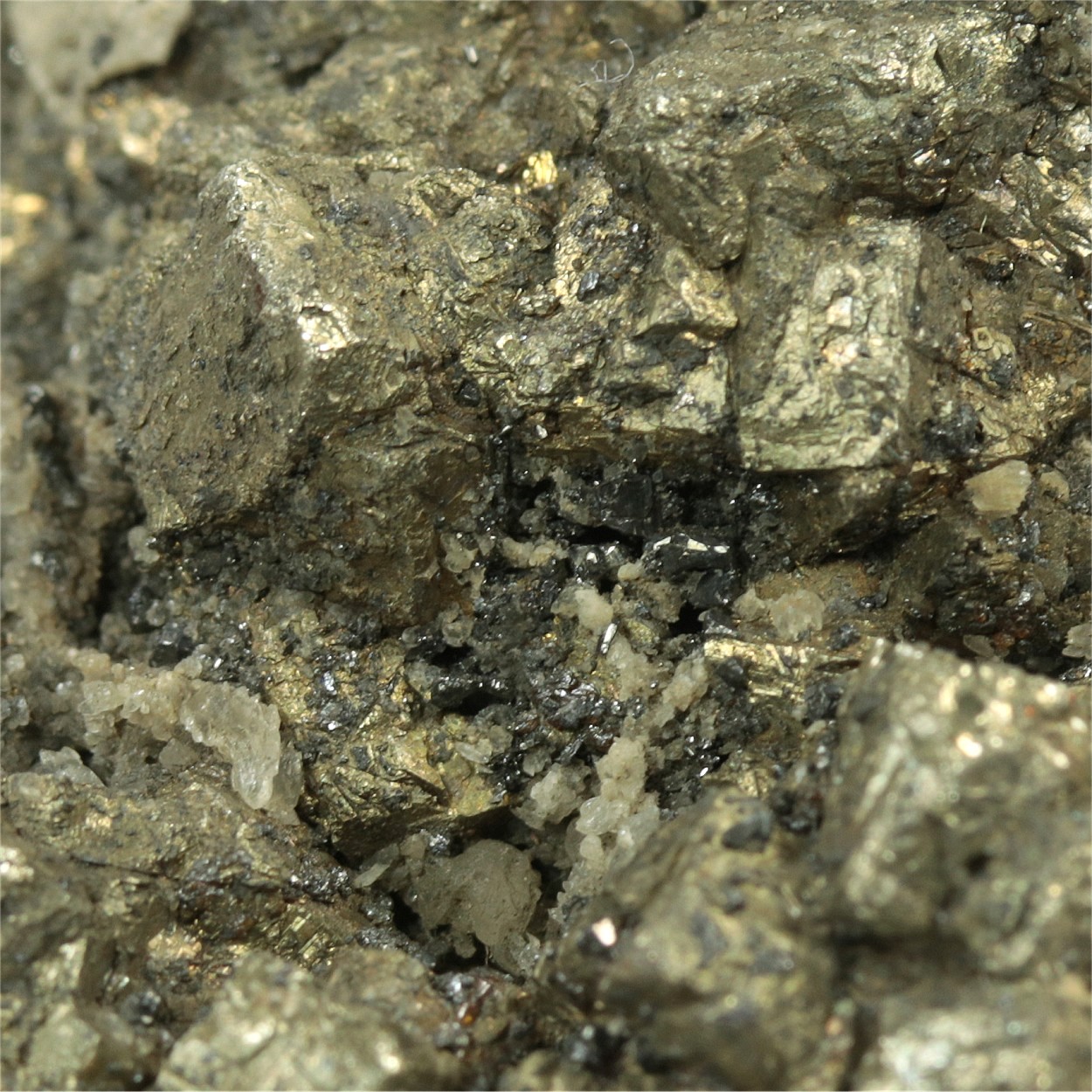 Pyrite With Argentite