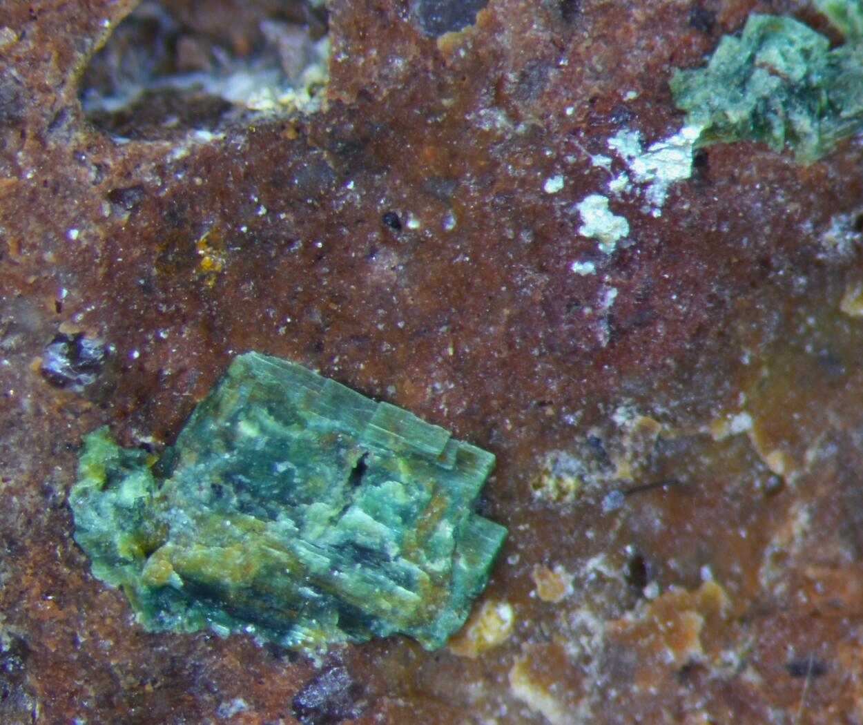 Metazeunerite