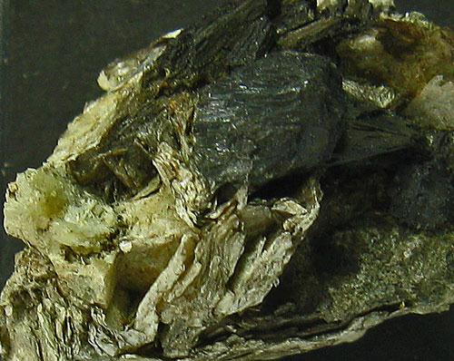 Tainiolite & Todorokite & Riebeckite