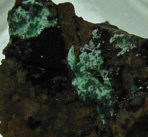 Strashimirite & Cornwallite