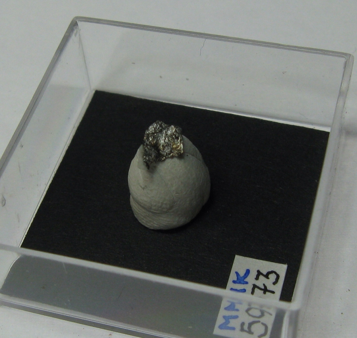 Metacinnabar Var Guadalcazarite
