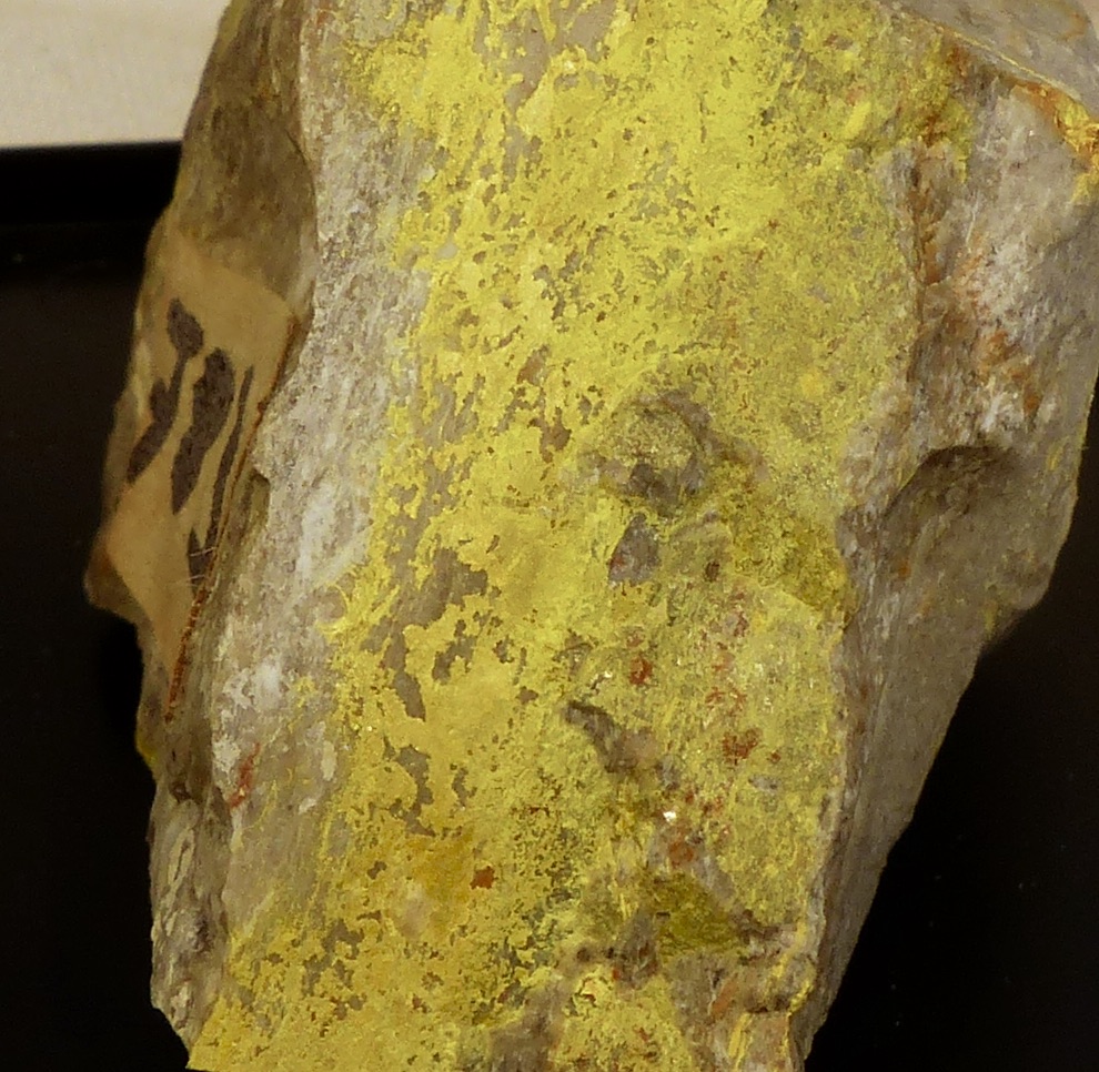 Carnotite
