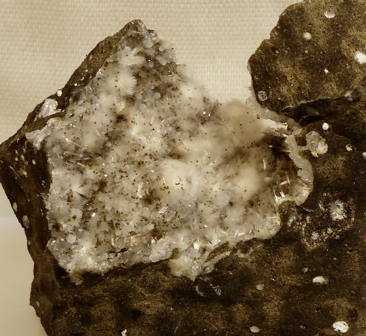 Scolecite & Phillipsite