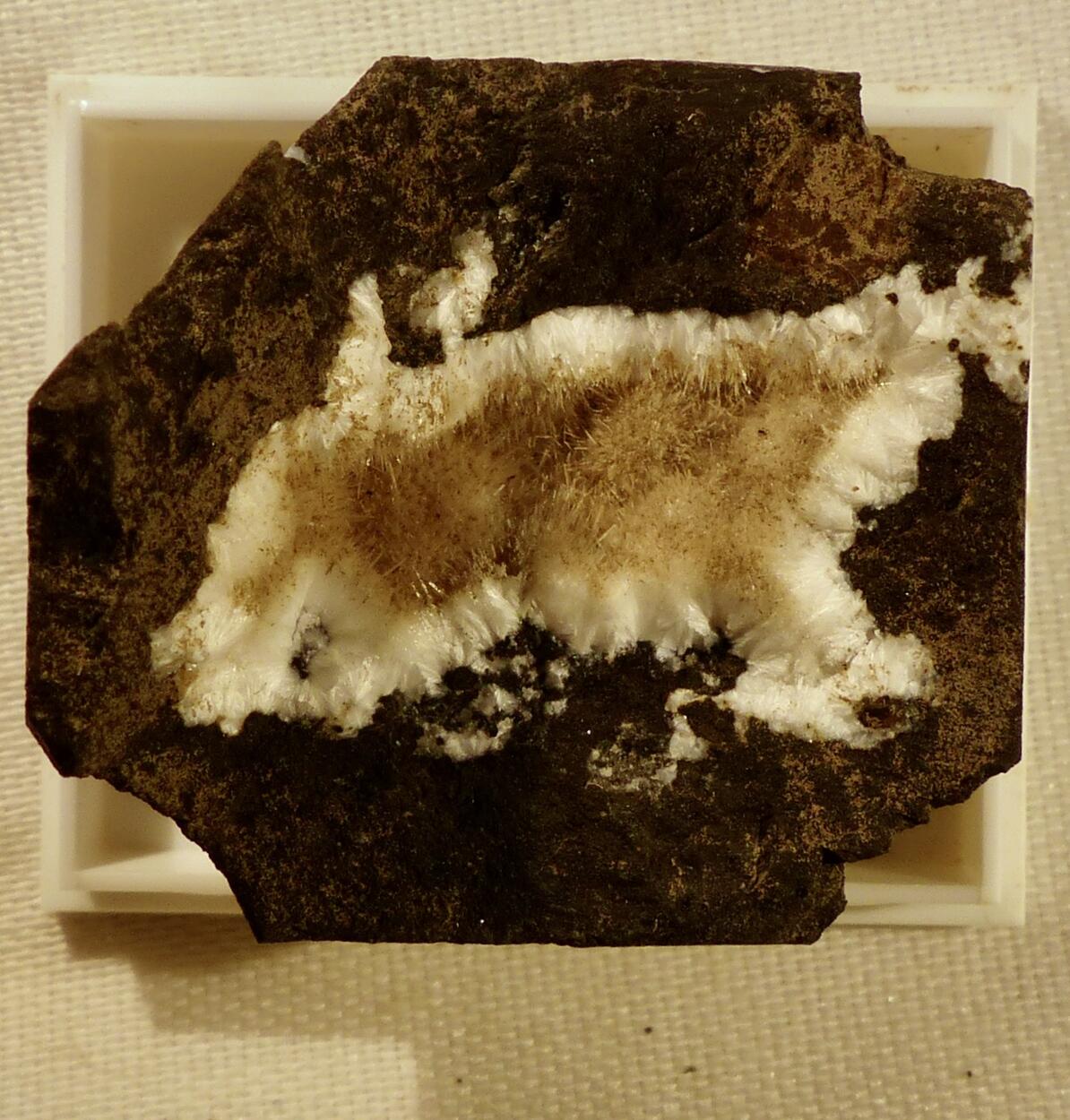 Natrolite