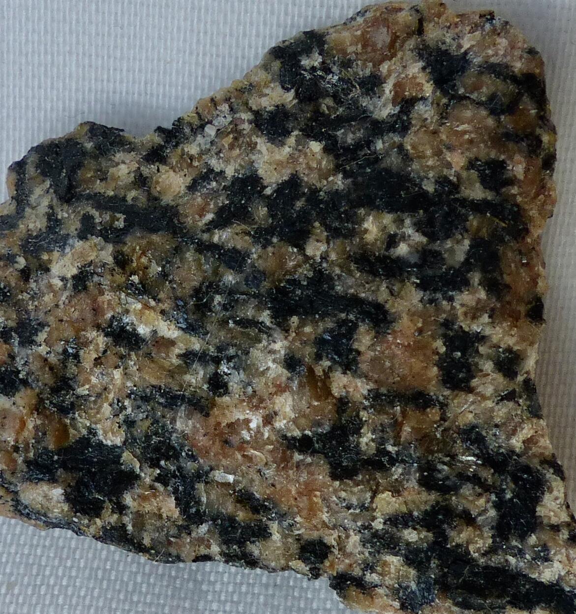 Hastingsite